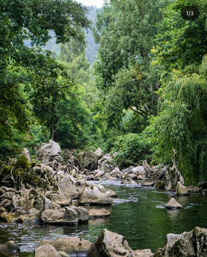 Hdec Hosteria De Castaneda Alojamiento Turistico プエンテ・ビエスゴ エクステリア 写真