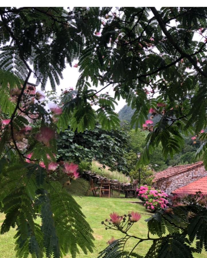 Hdec Hosteria De Castaneda Alojamiento Turistico プエンテ・ビエスゴ エクステリア 写真