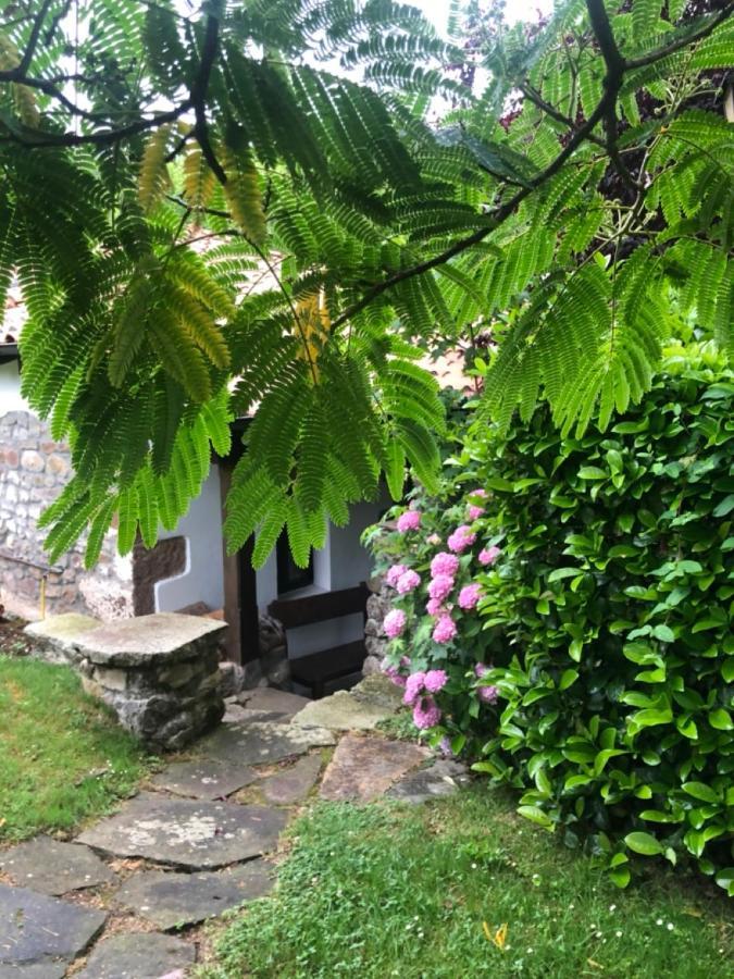 Hdec Hosteria De Castaneda Alojamiento Turistico プエンテ・ビエスゴ エクステリア 写真