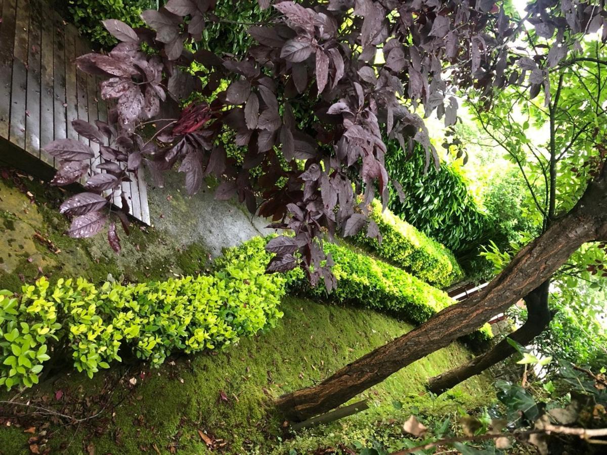 Hdec Hosteria De Castaneda Alojamiento Turistico プエンテ・ビエスゴ エクステリア 写真