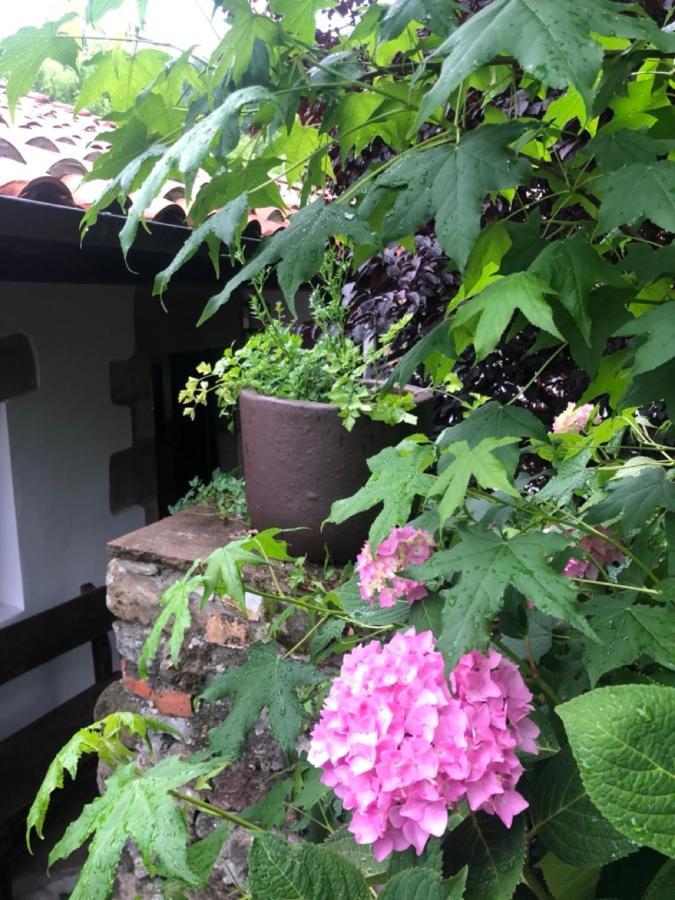 Hdec Hosteria De Castaneda Alojamiento Turistico プエンテ・ビエスゴ エクステリア 写真