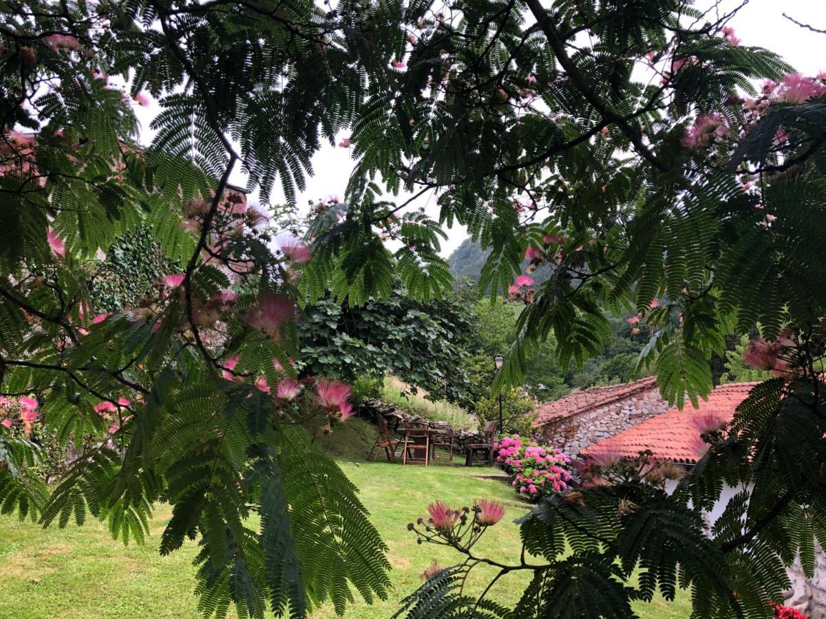 Hdec Hosteria De Castaneda Alojamiento Turistico プエンテ・ビエスゴ エクステリア 写真